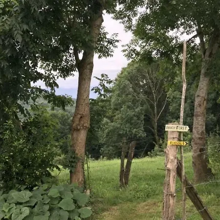 House Chemin Dou Bosc 4 Hébergement de vacances